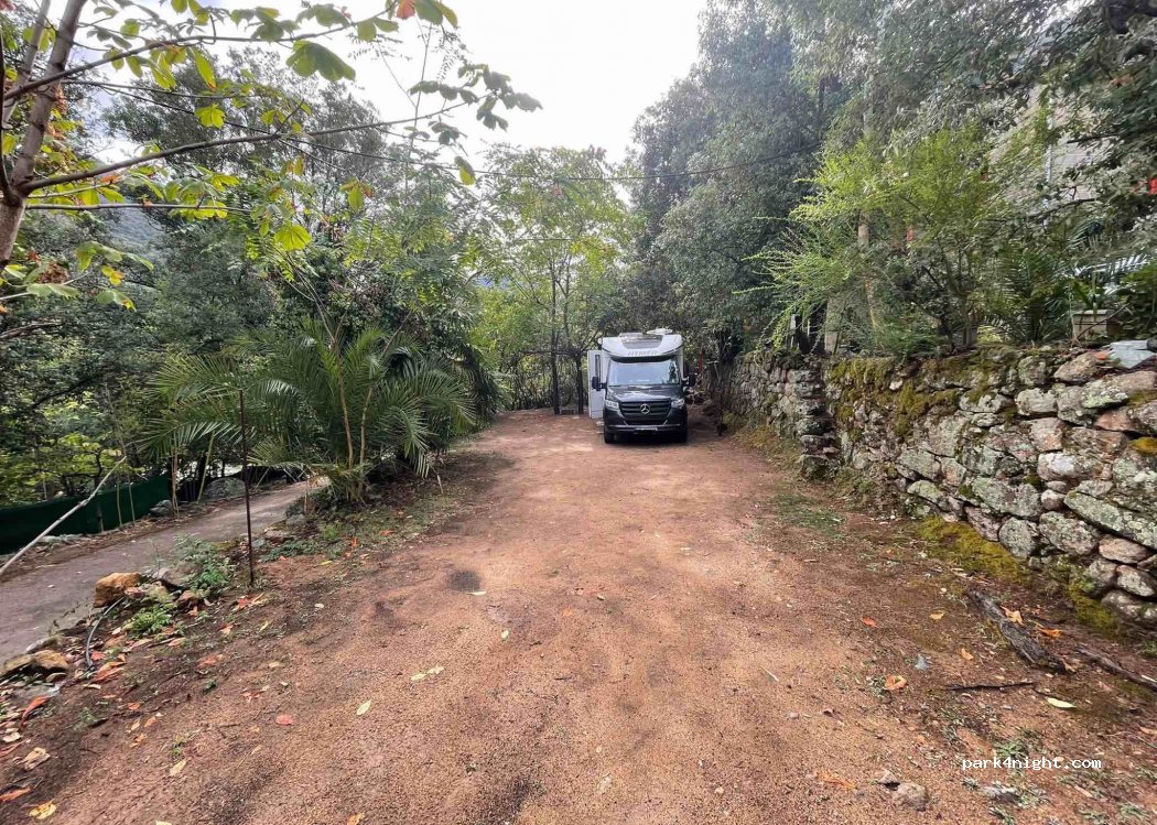 Camping le Porto — foto 2