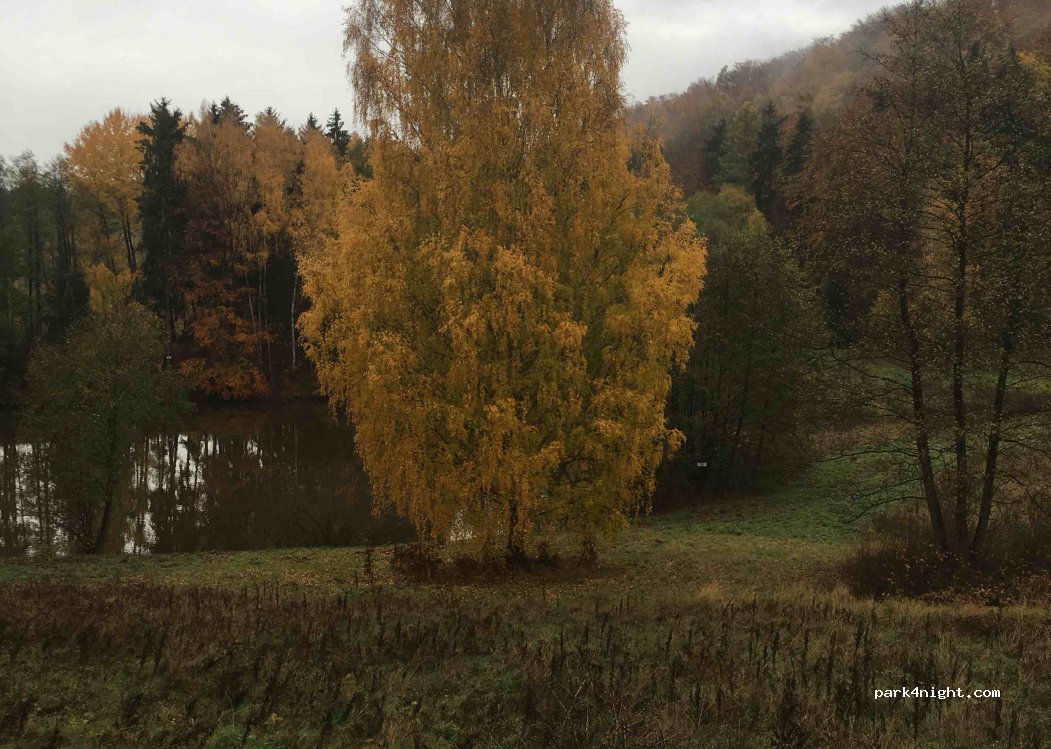 (509 01) Nová Paka - — foto