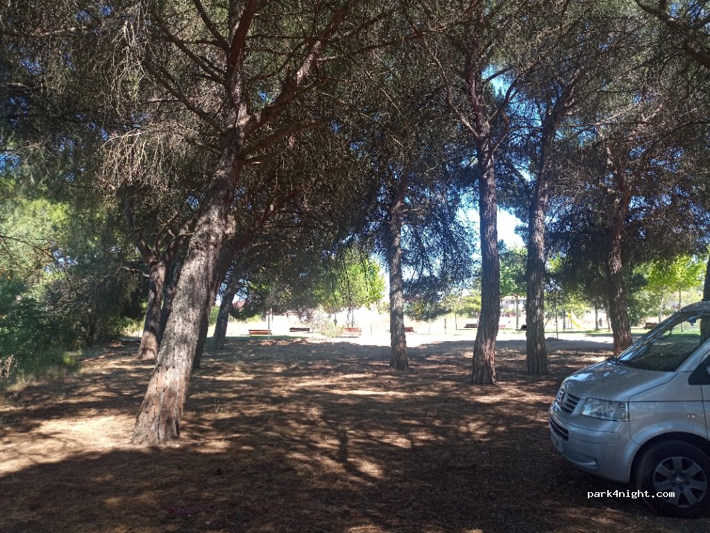 (47161) Herrera de Duero - 25 Camino del Puente — foto 3