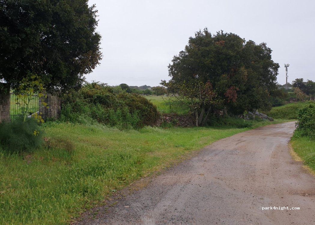 (09086) Samugheo - Strada Provinciale 33 — foto