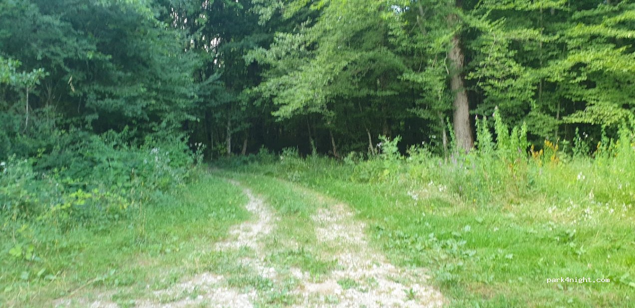 (39600) Saint-Cyr-Montmalin - 15 D9 — foto 3