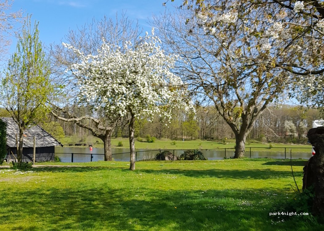 Landhuis De Maashof Cq Camping — foto 3