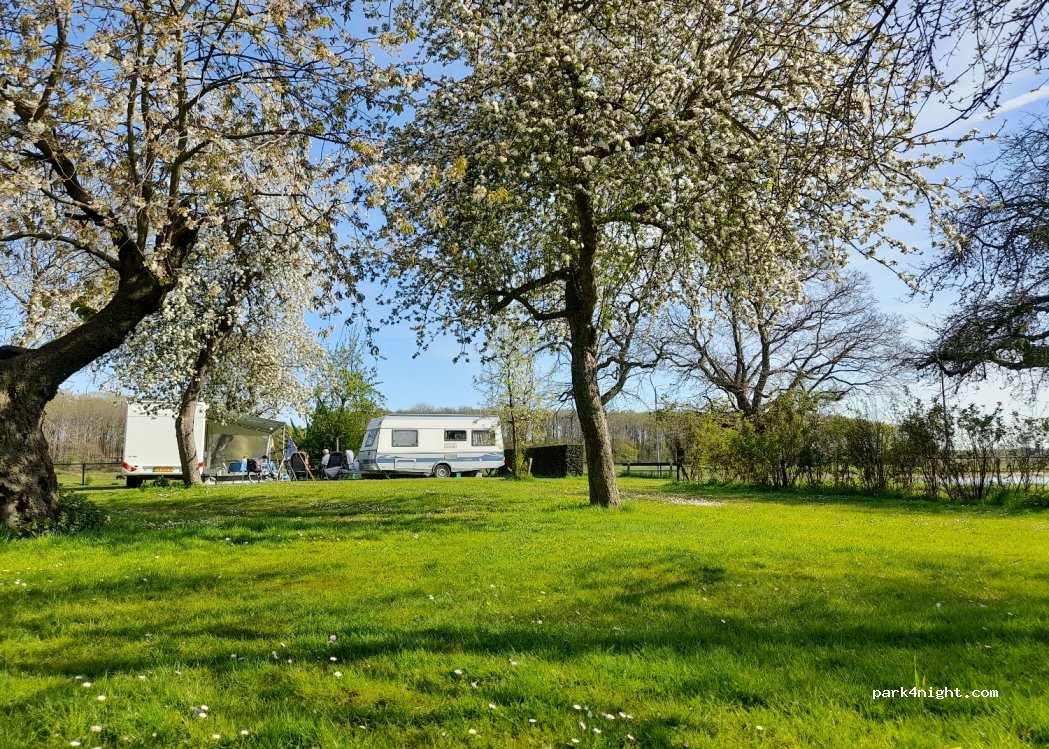 Landhuis De Maashof Cq Camping — foto 4