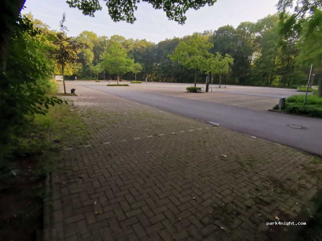 (48565) Steinfurt - 156 Hollich — foto