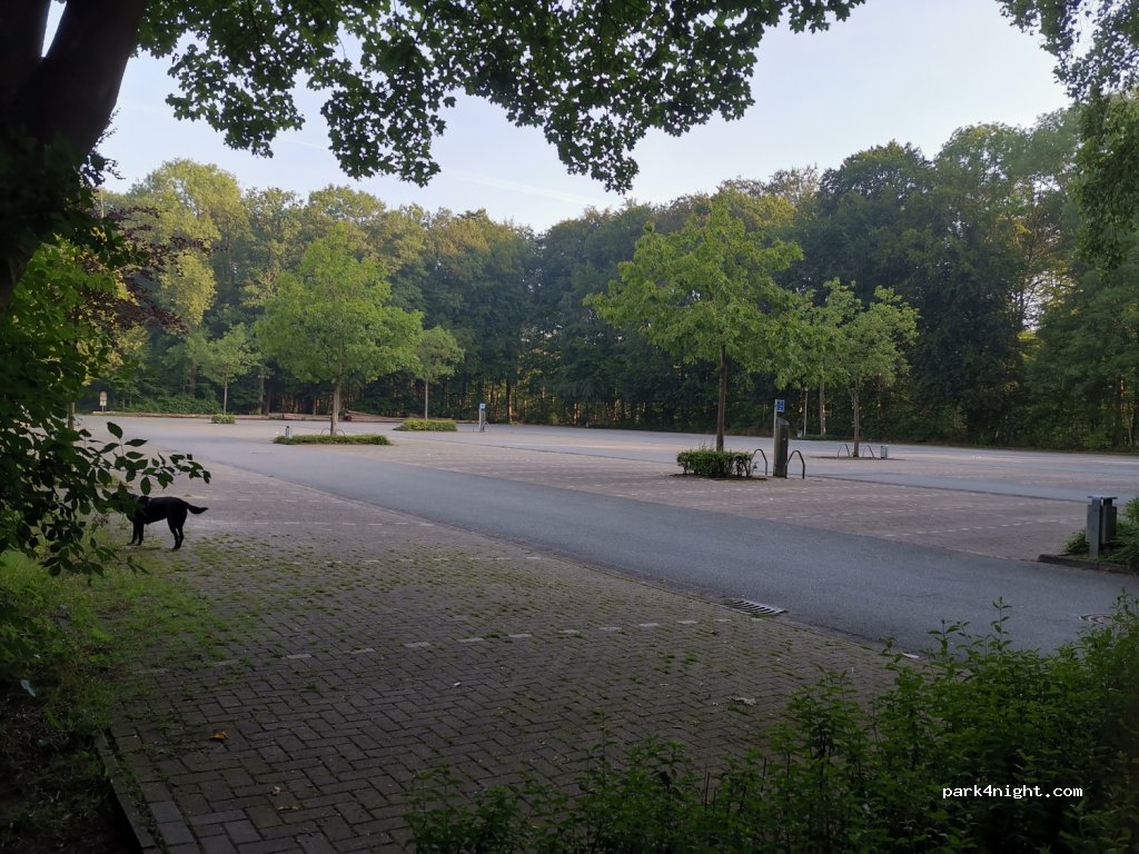 (48565) Steinfurt - 156 Hollich — foto 3