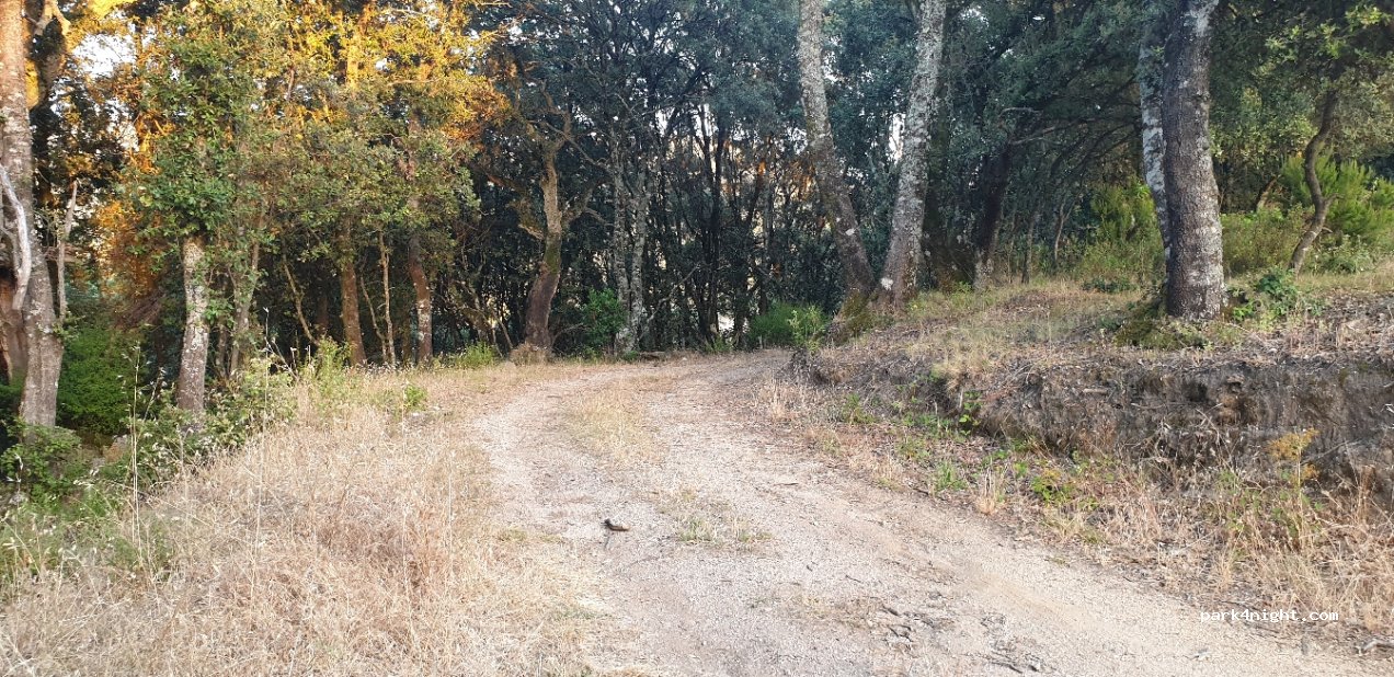 (20140) Casalabriva - Valle Gelata — foto 2