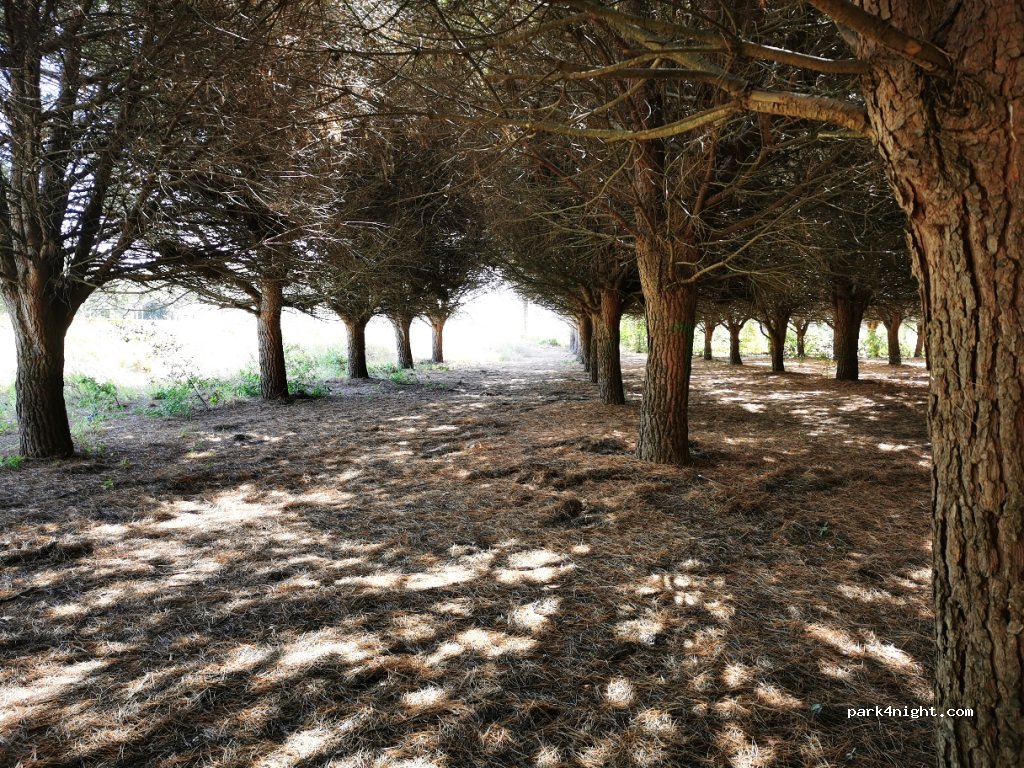 (17250) Platja d'Aro - 126 Avinguda de s'Agaró — foto 2