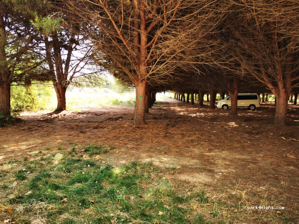 (17250) Platja d'Aro - 126 Avinguda de s'Agaró — foto 3