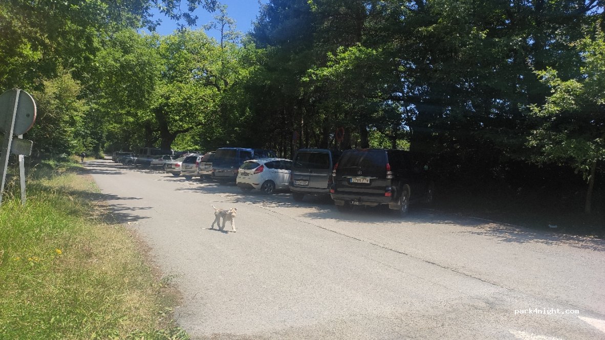 (31800) Altsasu - 20 San Pedroko Bidea — foto