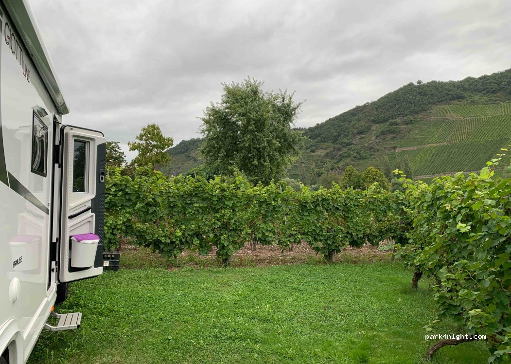 Weingut Walter Britz — foto 4