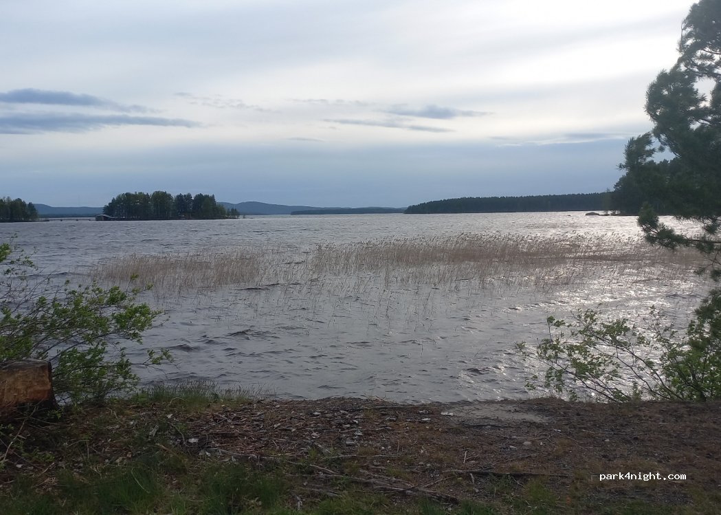 (81590) Lieksa - Vuonislahdentie, Vuonislathi — foto 2