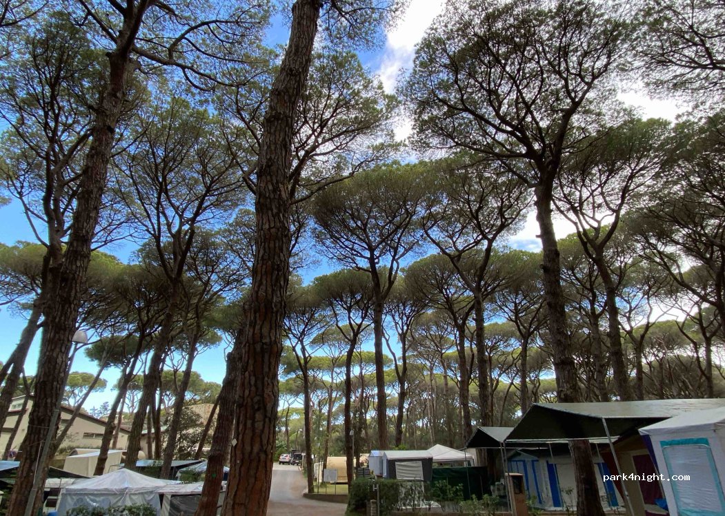 Camping Continental — foto 3