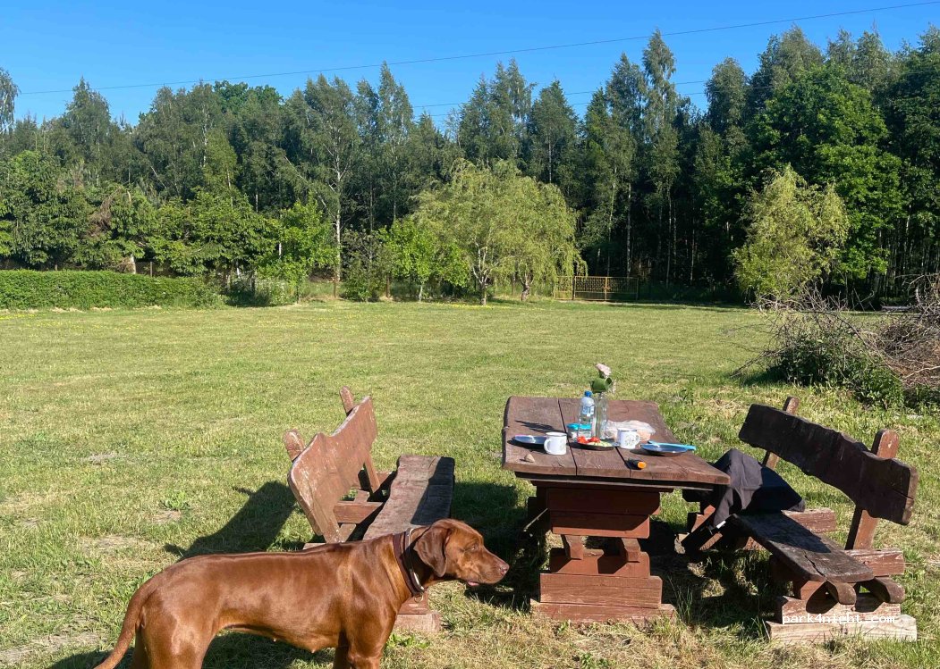 Baza Turystyczna Izbica — foto 4