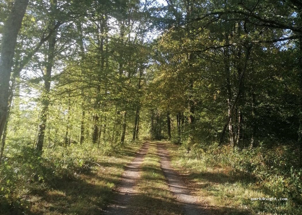(87160) Mailhac-sur-Benaize - Les Gigneres — foto 3