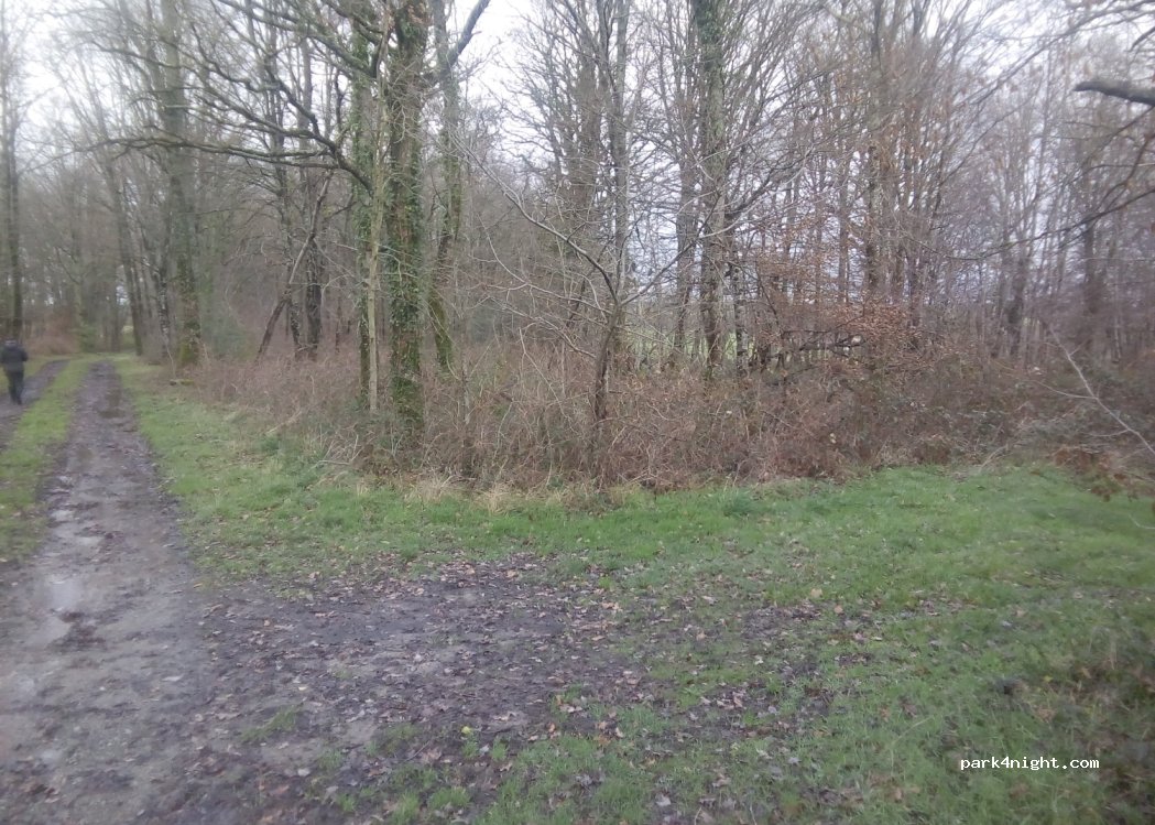 (87160) Mailhac-sur-Benaize - Les Gigneres — foto 4