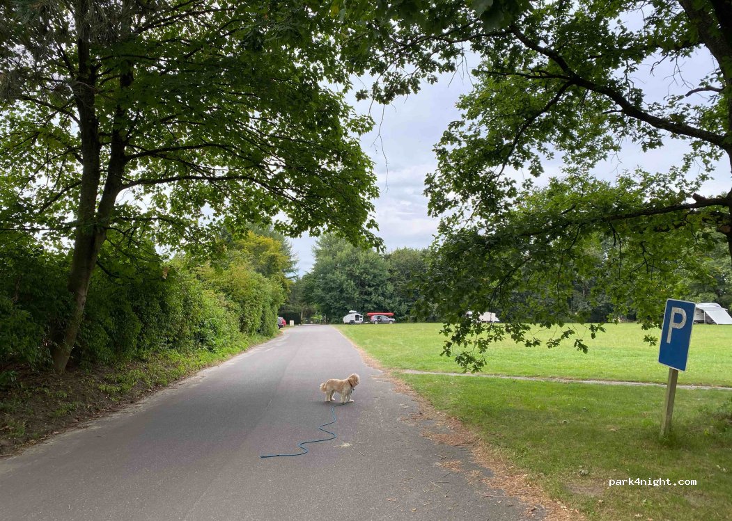 Campingplatz Sauensiek — foto 2