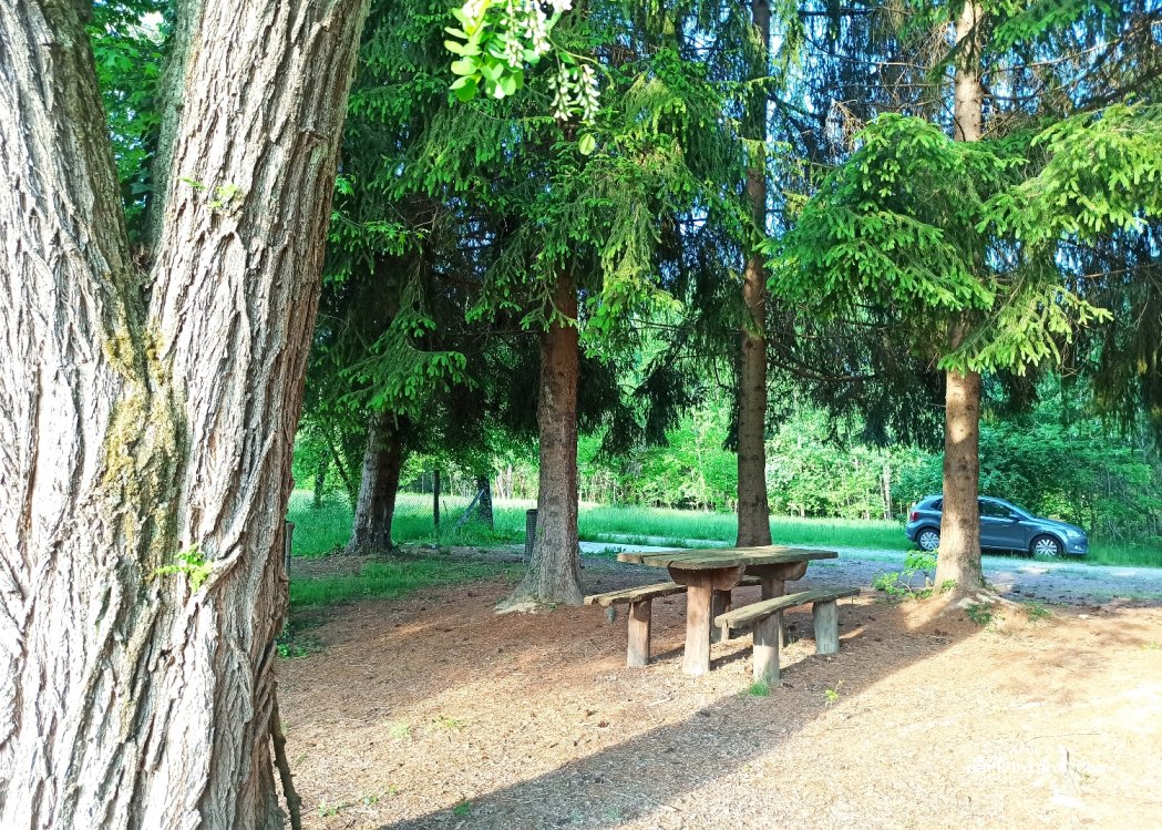 (13865) Curino - Unnamed Road — foto 2