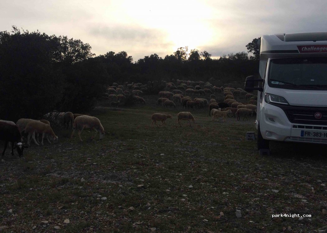 (34190) Brissac - D1 — foto 4