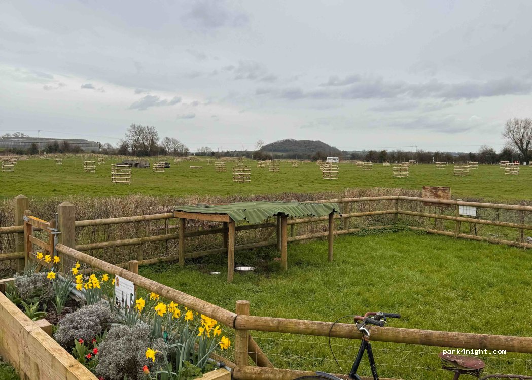 Petruth Paddocks camping — foto