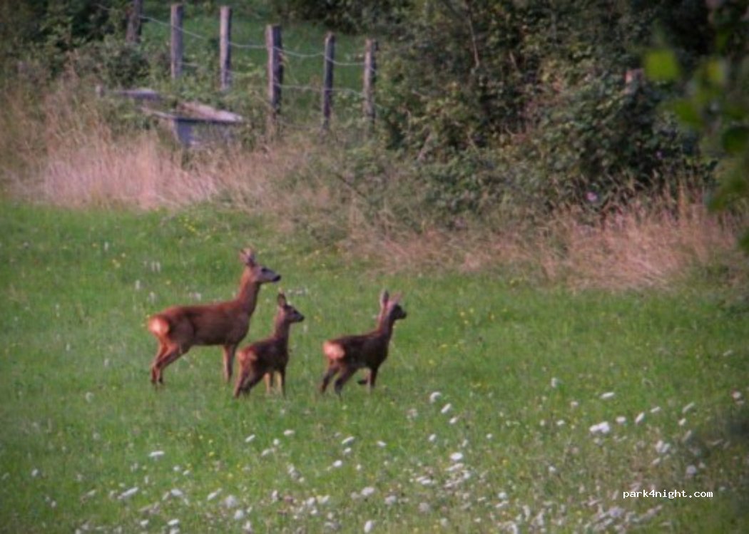 (70000) Velleguindry-et-Levrecey - D108 — foto