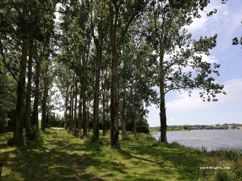 (85190) Aizenay - Saint-Joseph du Grand Plessis — foto 2
