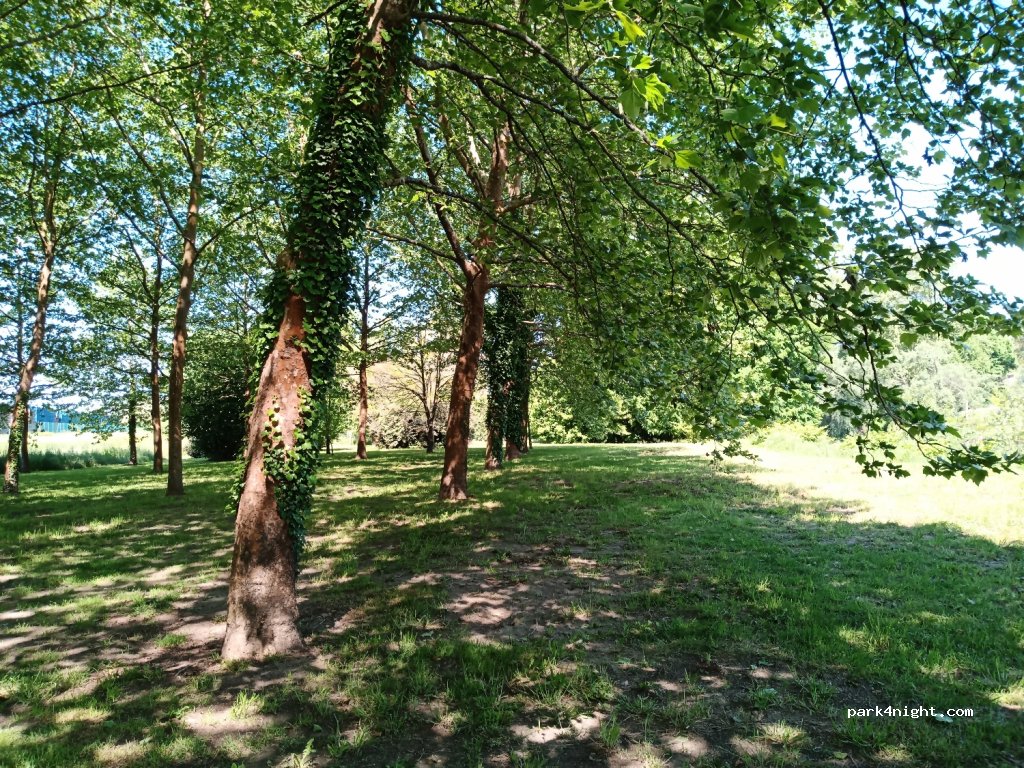 (64270) Bellocq - 6 Chemin du Glé — foto 3