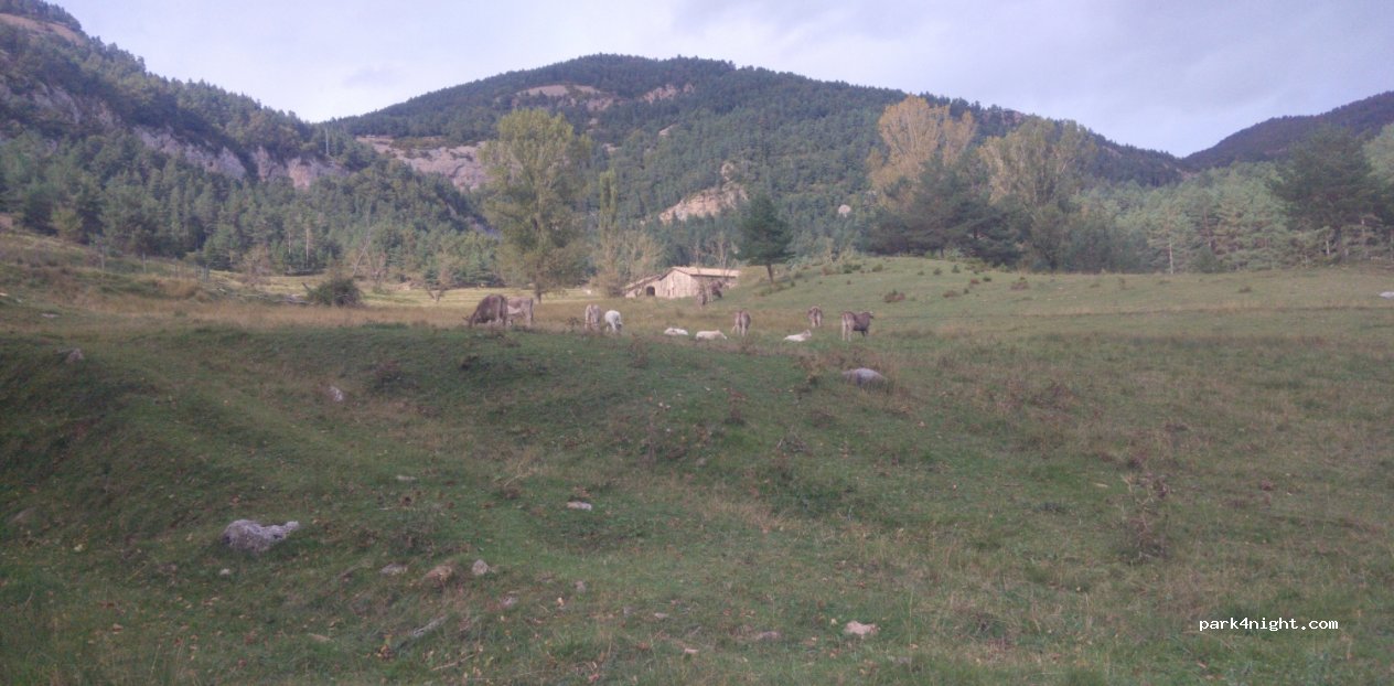 (08604) Castell de l'Areny - Unnamed Road — foto 2