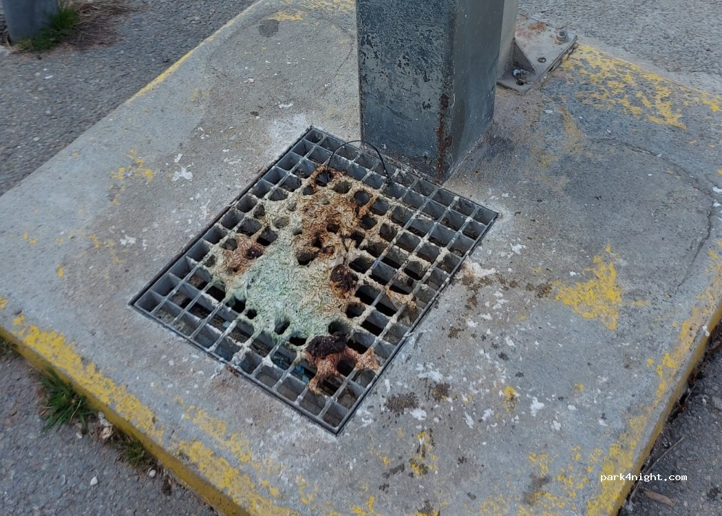 Ripoll Can Guetes — foto 4