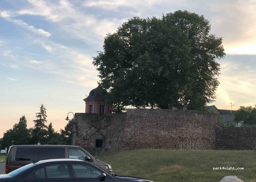 (54293) Trier - 5 Hans-Adamy-Straße — foto