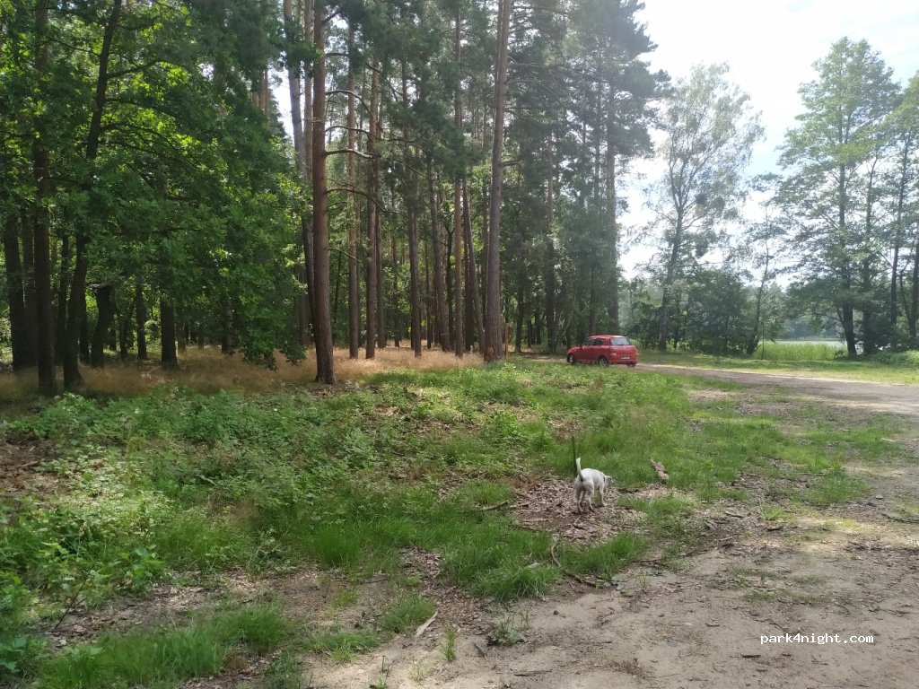 (87-305)  - Unnamed Road — foto 2