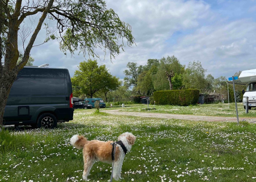 Camping Communal au Rhin et à la Sauer — foto 4