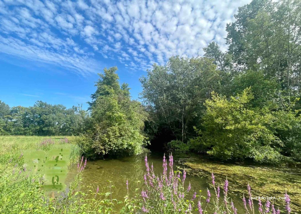 (24600) Saint-Méard-de-Drône - D104 — foto 3