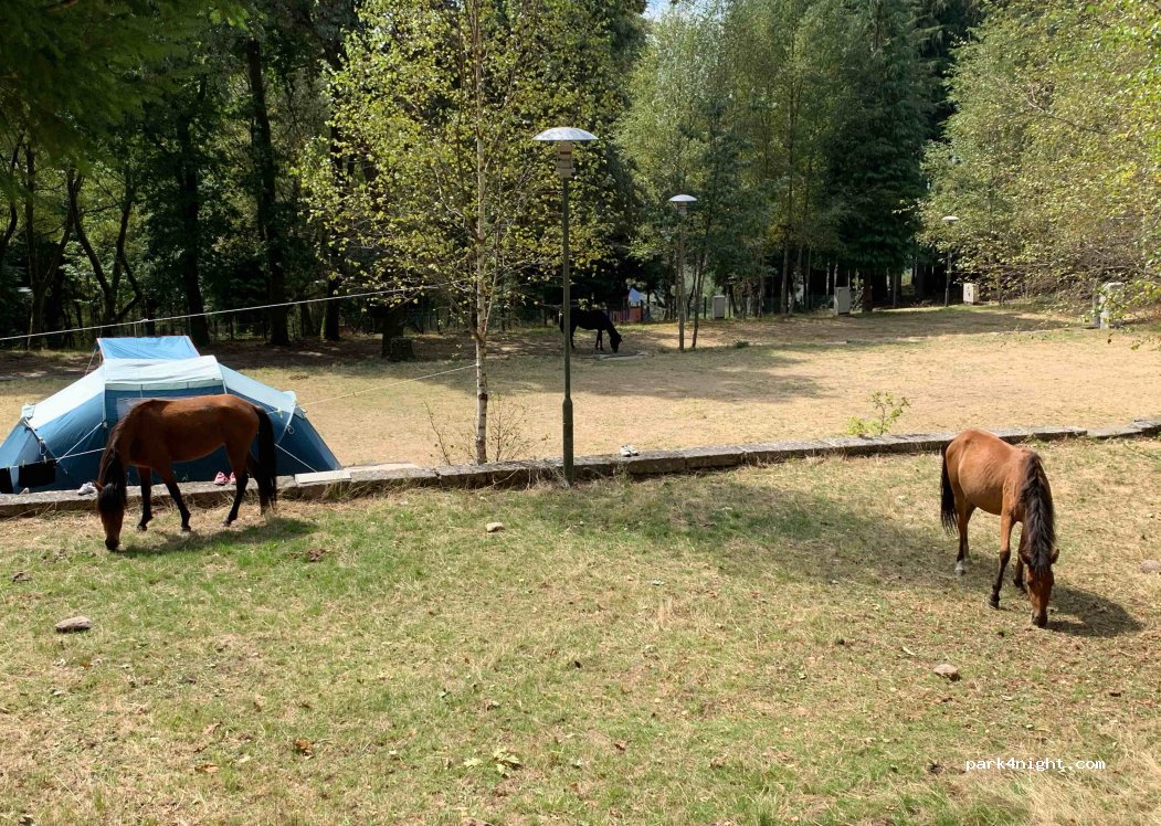 Parque de Campismo da Travanca — foto 2