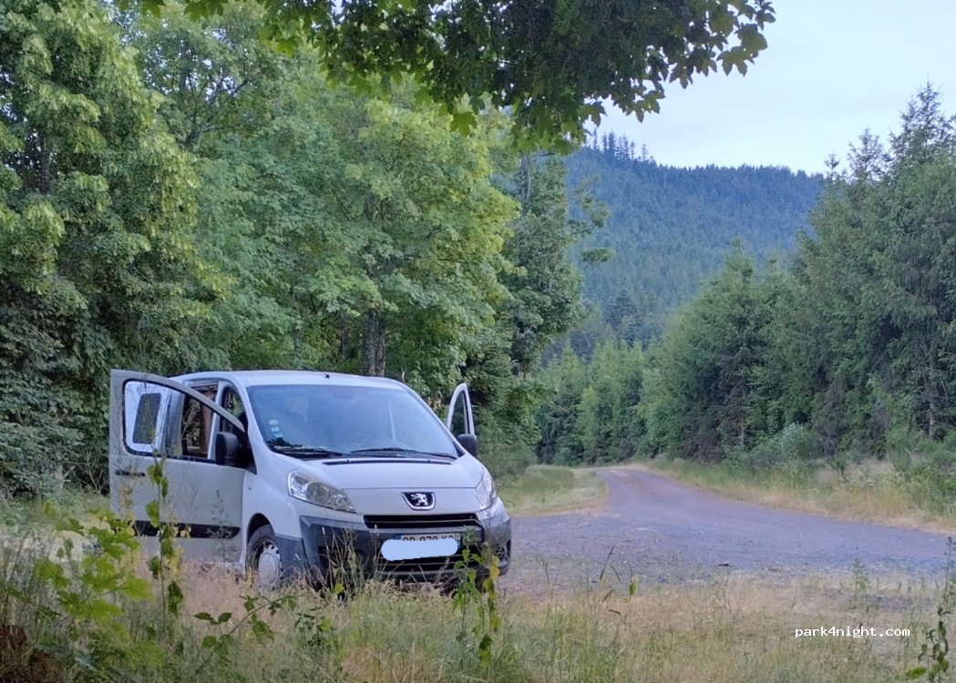(88490) La Petite-Fosse - 19 D45 — foto 2