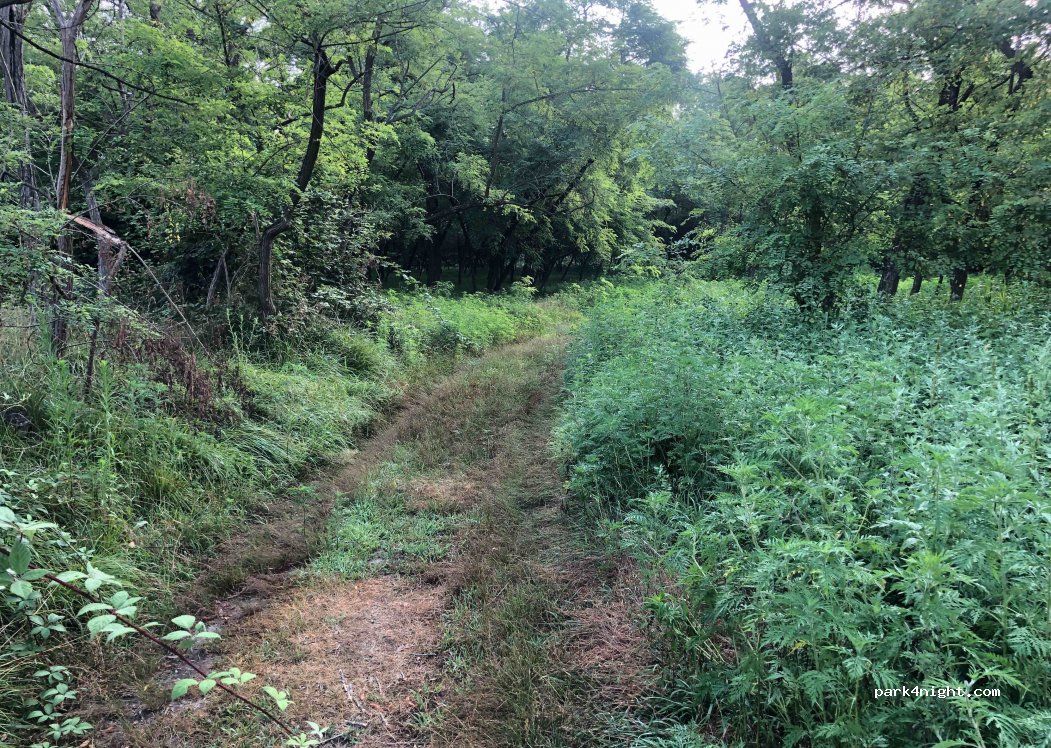 (28074) Ghemme - Unnamed Road — foto 2