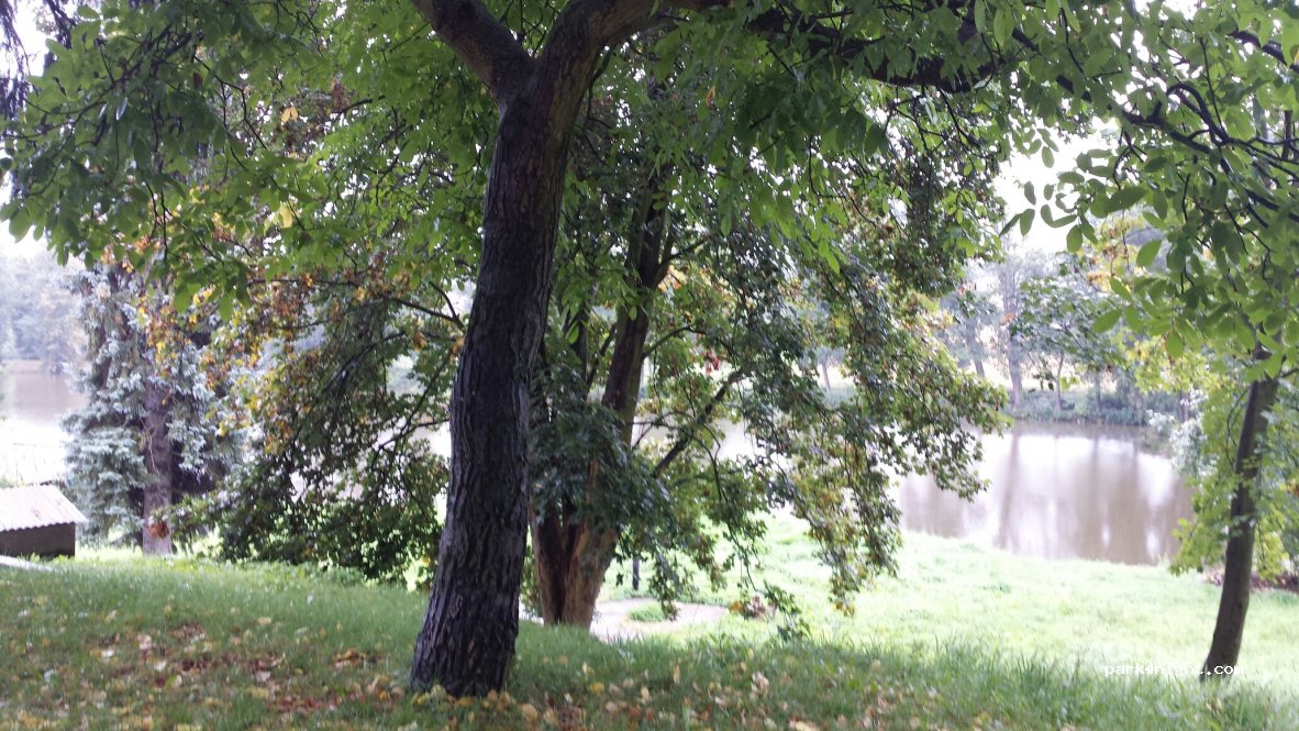 (262 42) Rožmitál pod Třemšínem - Rybova — foto 2