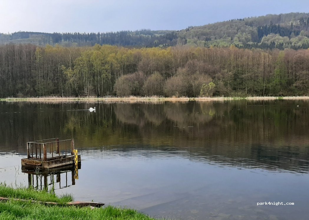 (99894) Friedrichroda - Reinhardsbrunn — foto 3