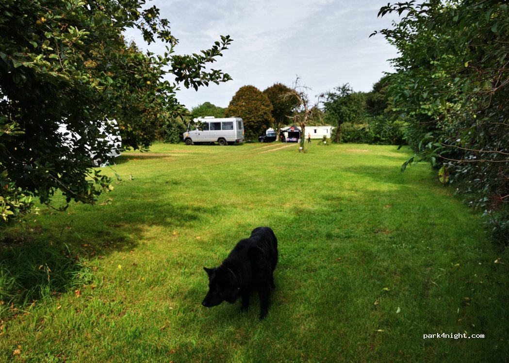 Camping du Chateau de Belon — foto 4