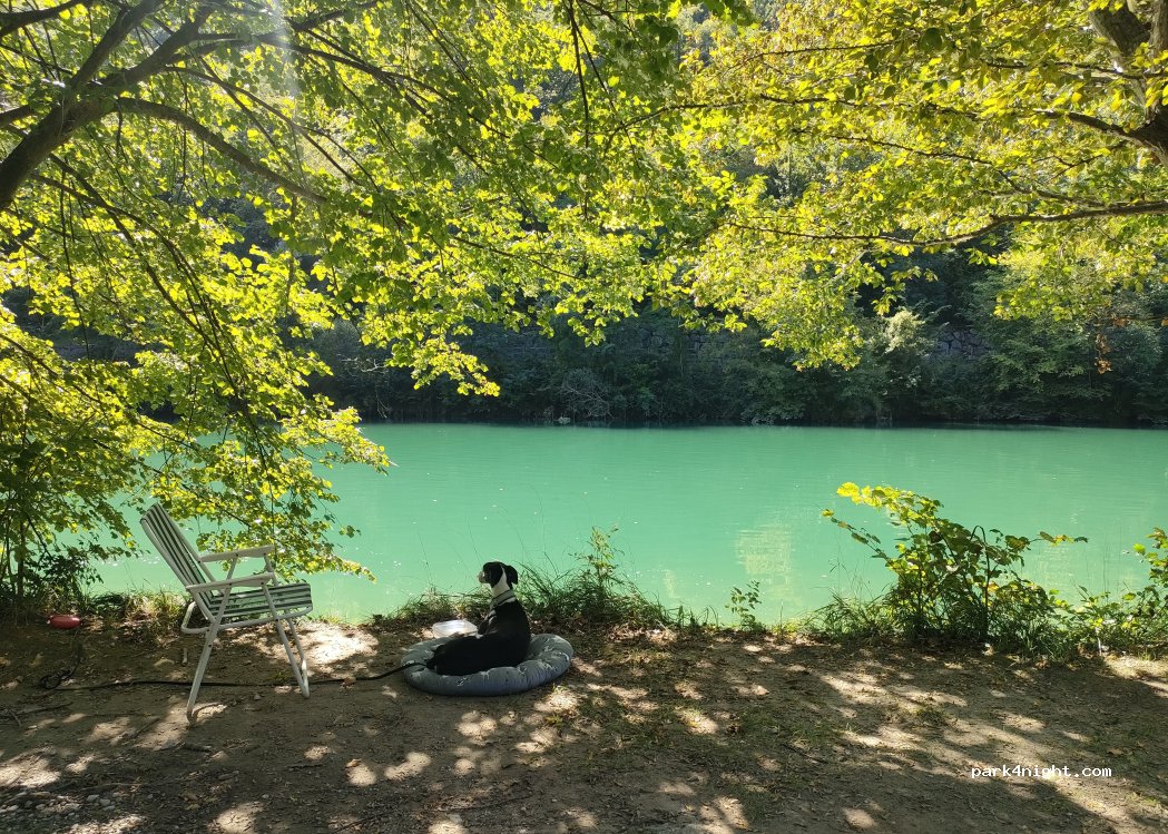 (5210)  - Zagomila — foto 4