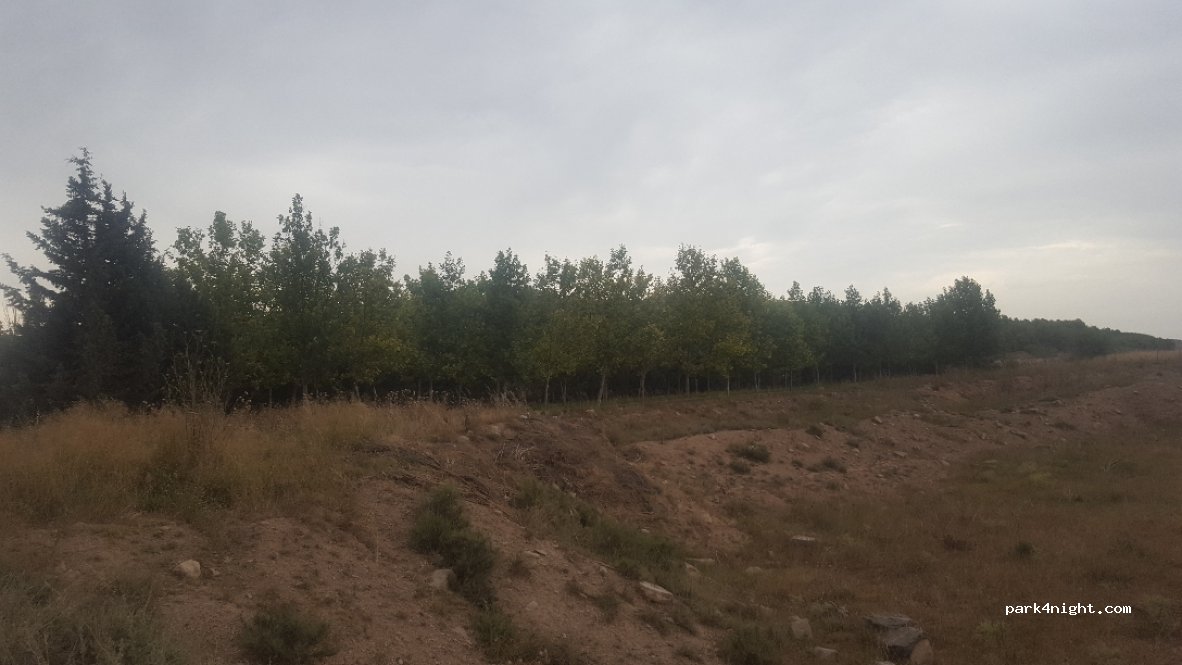 (31511) Cabanillas - Unnamed Road — foto