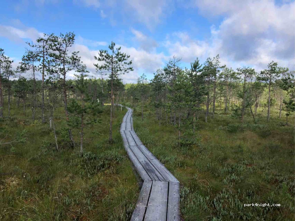 (63604) Kiidjärve - Unnamed Road — foto 2