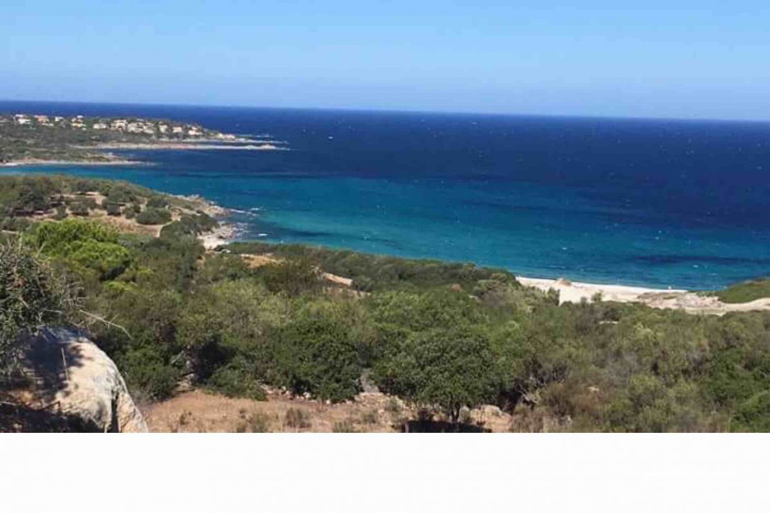 (20220) Corbara - Certali — foto 3