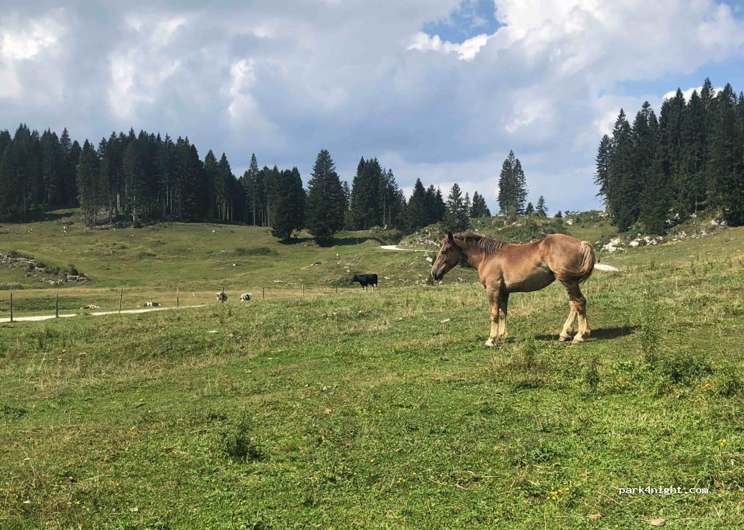 Centro Fondo Campolongo Di Mosele Ivano — foto 4