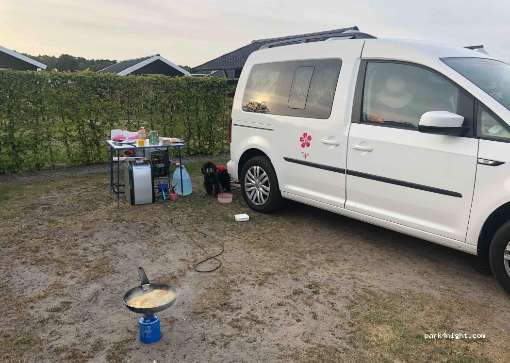 Camping De Carlton — foto 2