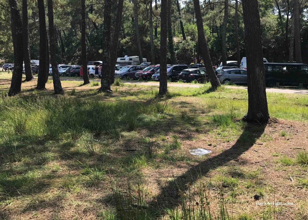 (40600) Biscarrosse - 5847 Route des Lacs — foto 3