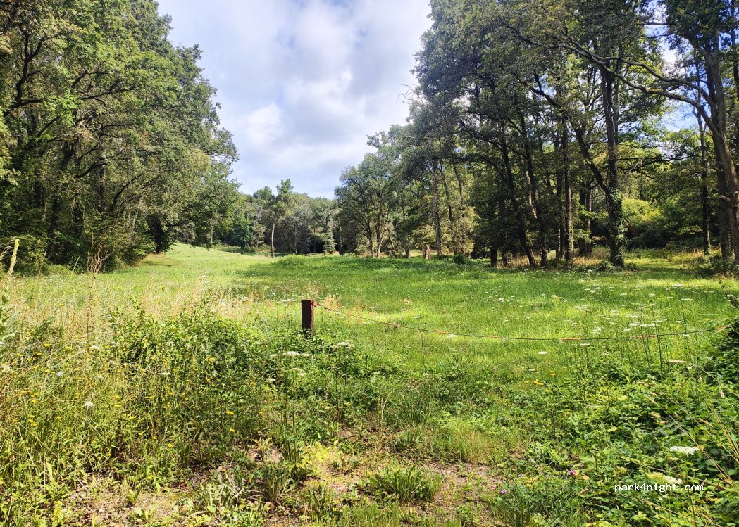 (37140) Bourgueil - Route du Moulin Bleu — foto