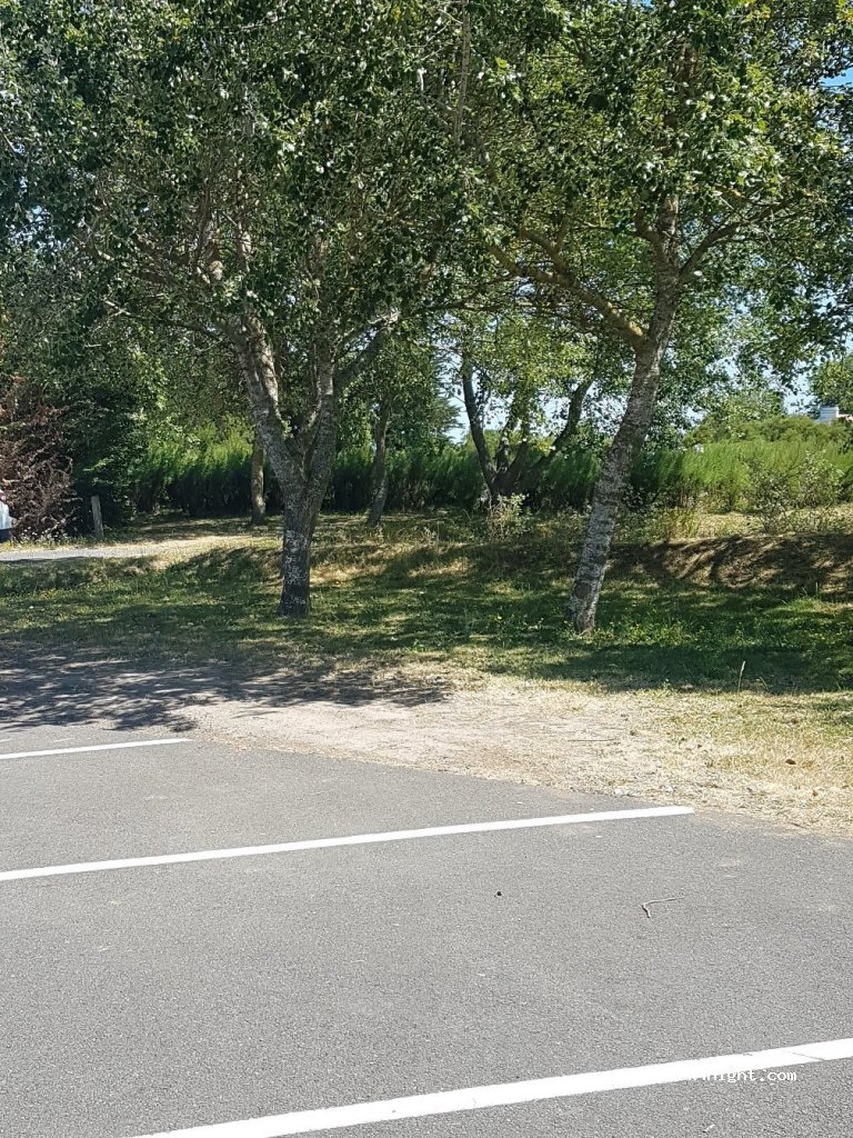 (85630) Barbâtre - 75 Route du Gois — foto
