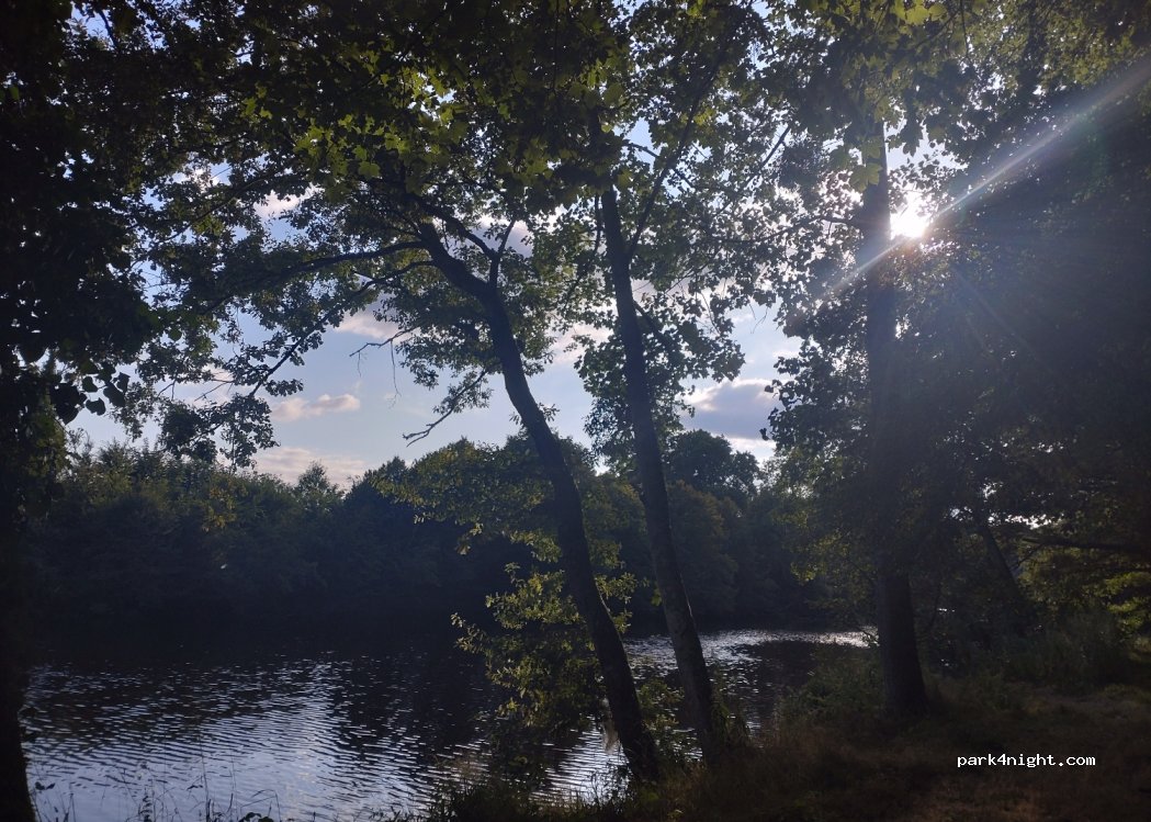 (87200) Saint-Junien - D941 — foto 4