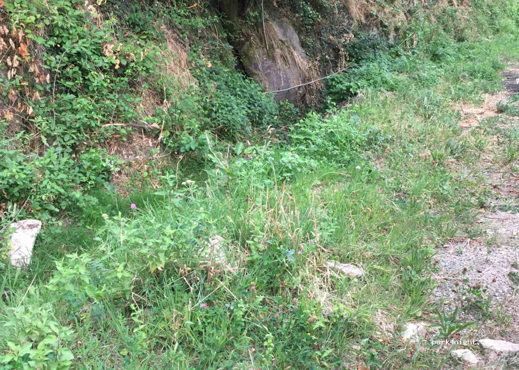 (48800) Pied-de-Borne - Pantostier — foto 3