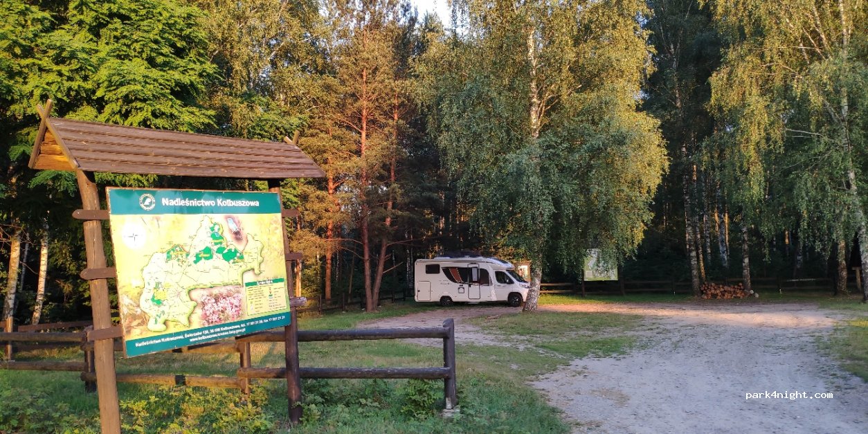 (36-121) Wilcza Wola - 97 Rzeszowska — foto 2
